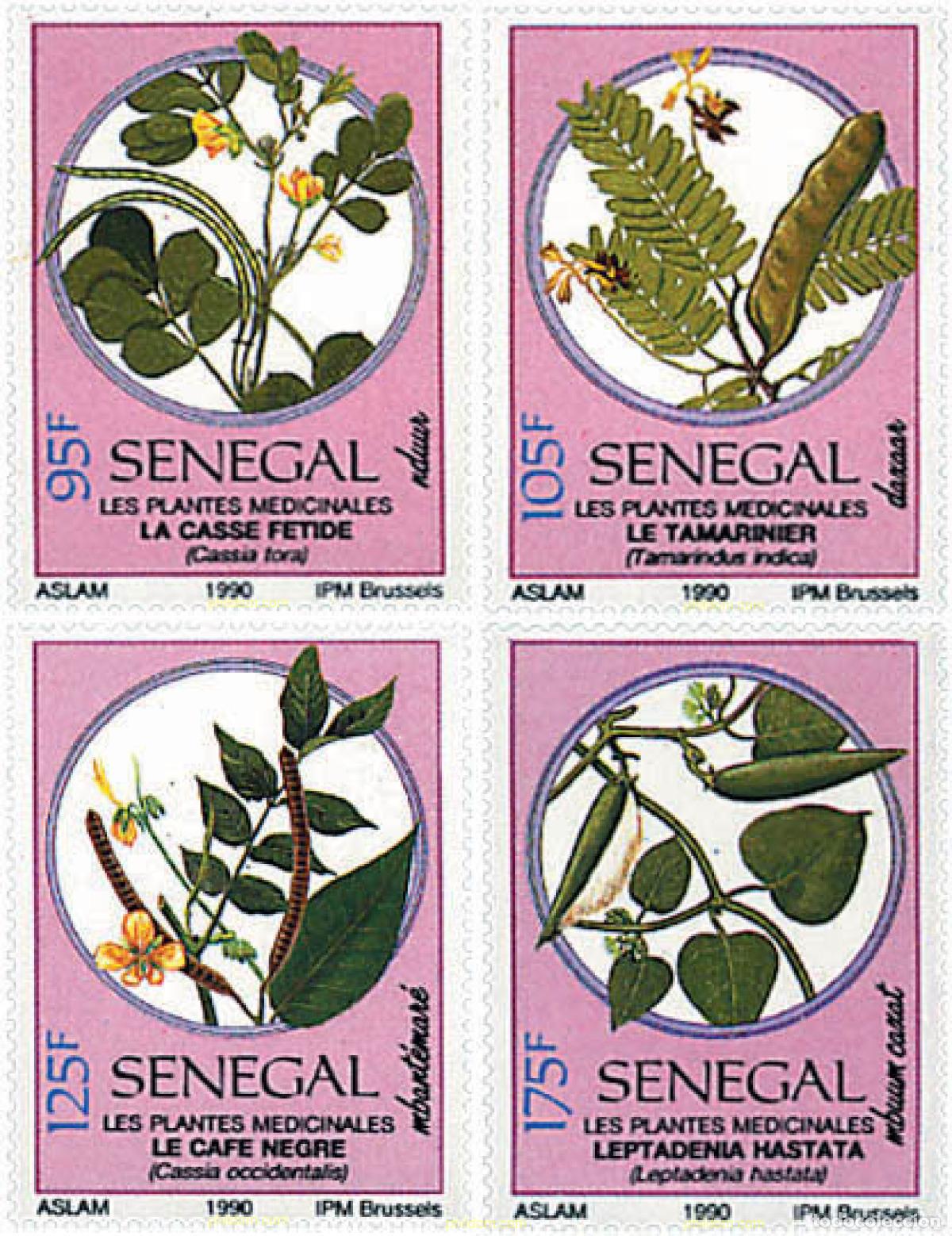 Sellos: 96220 MNH SENEGAL 1990 PLANTAS MEDICINALES