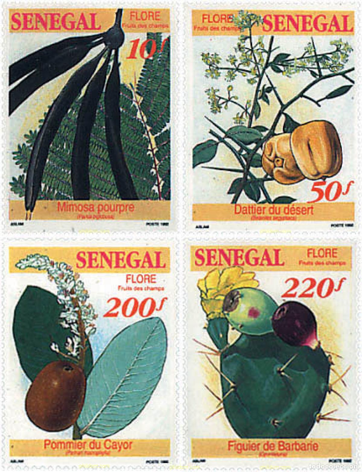 Sellos: 96438 MNH SENEGAL 1992 FLORES Y FRUTOS DEL CAMPO