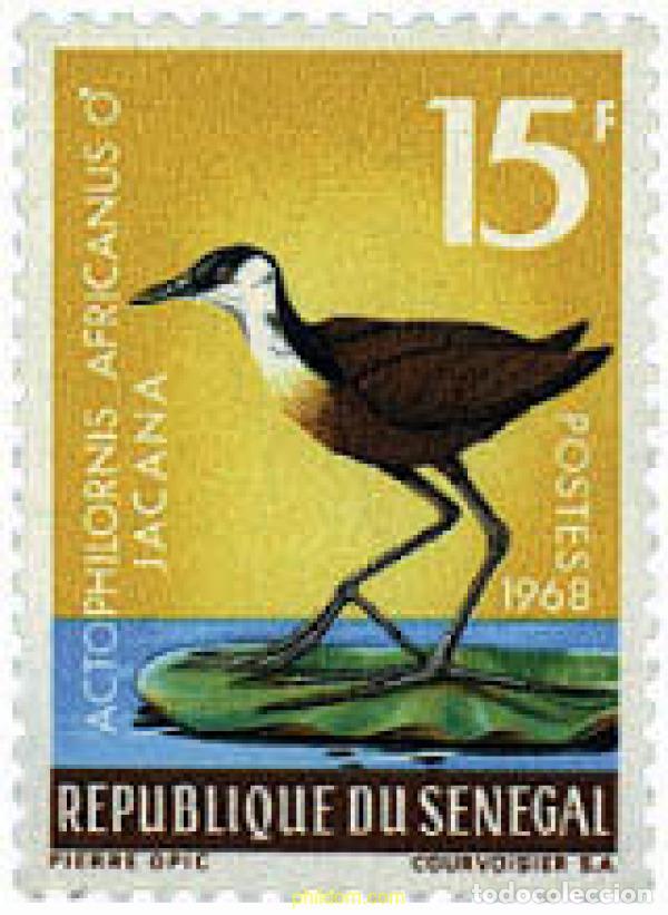 Sellos: 581942 MNH SENEGAL 1968 AVES