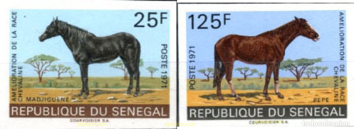 Selos: 192302 MNH SENEGAL 1971 CABALLOS