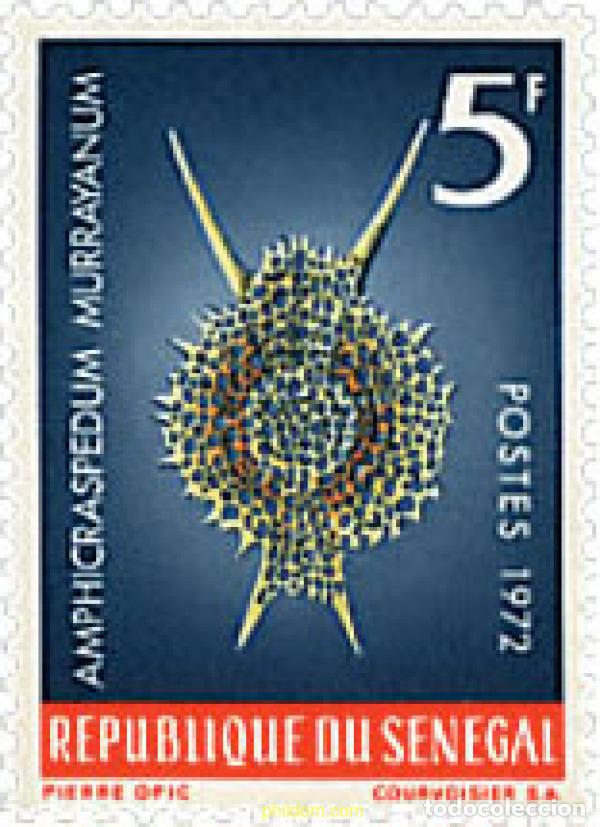 Sellos: 244635 MNH SENEGAL 1972 FAUNA MARINA