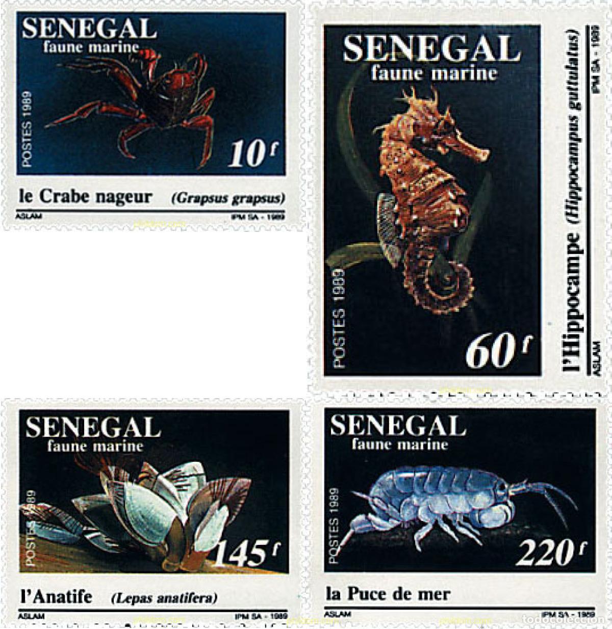 Sellos: 28532 MNH SENEGAL 1989 FAUNA MARINA