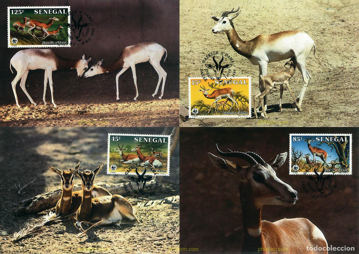 Sellos: 7321 MNH SENEGAL 1986 GACELA DAMA