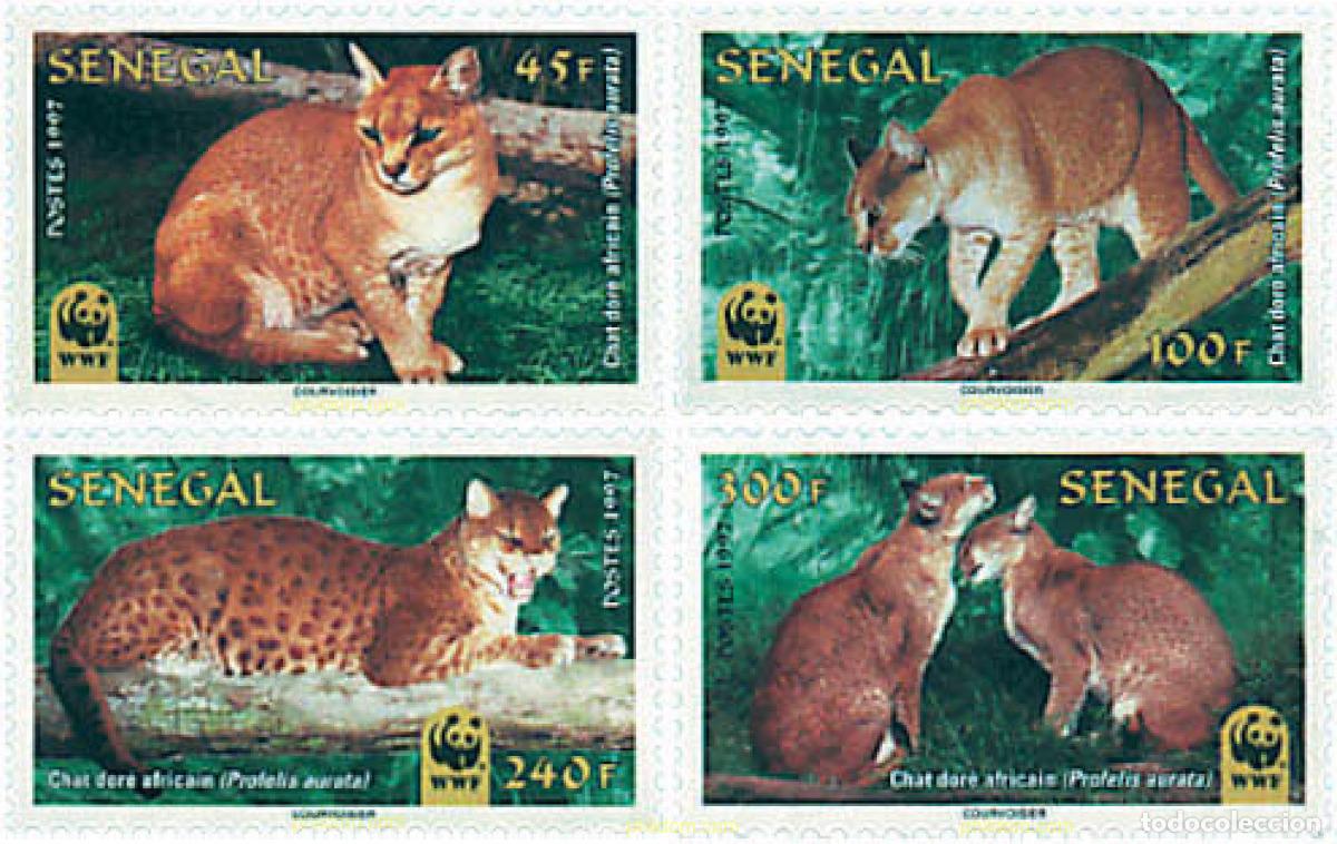 Sellos: 74189 MNH SENEGAL 1997 GATO DORADO AFRICANO