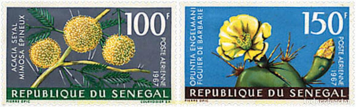 Sellos: 93317 MNH SENEGAL 1967 FLORES
