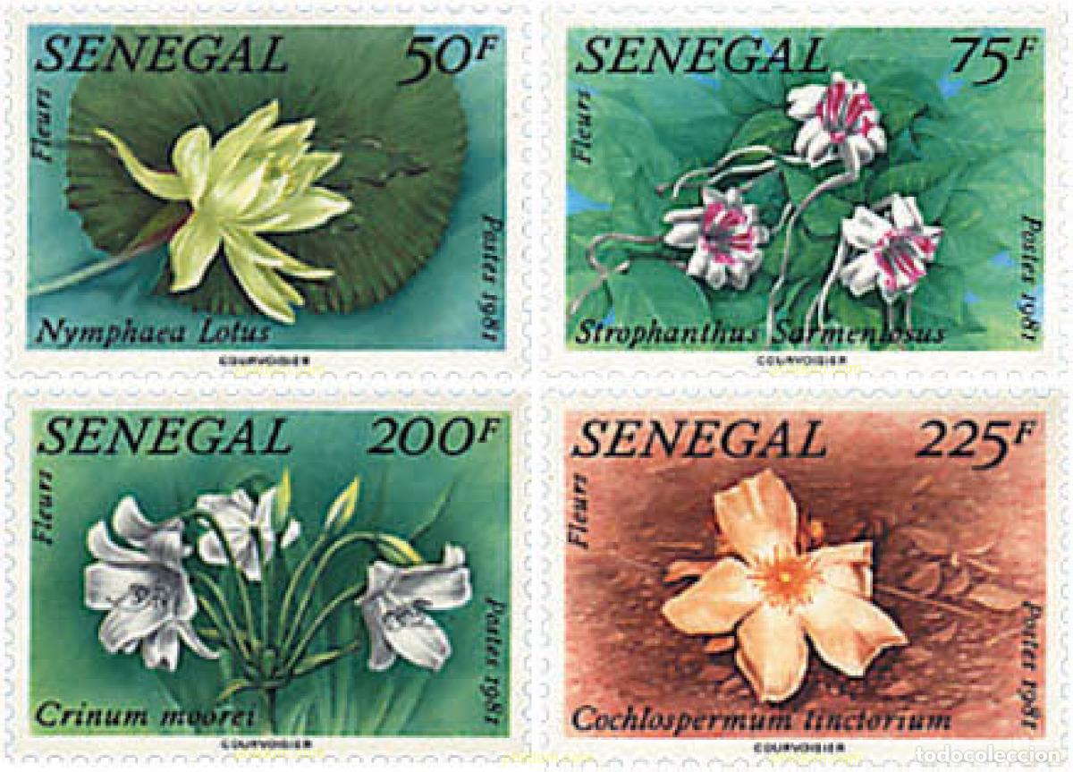 Sellos: 93320 MNH SENEGAL 1982 FLORES