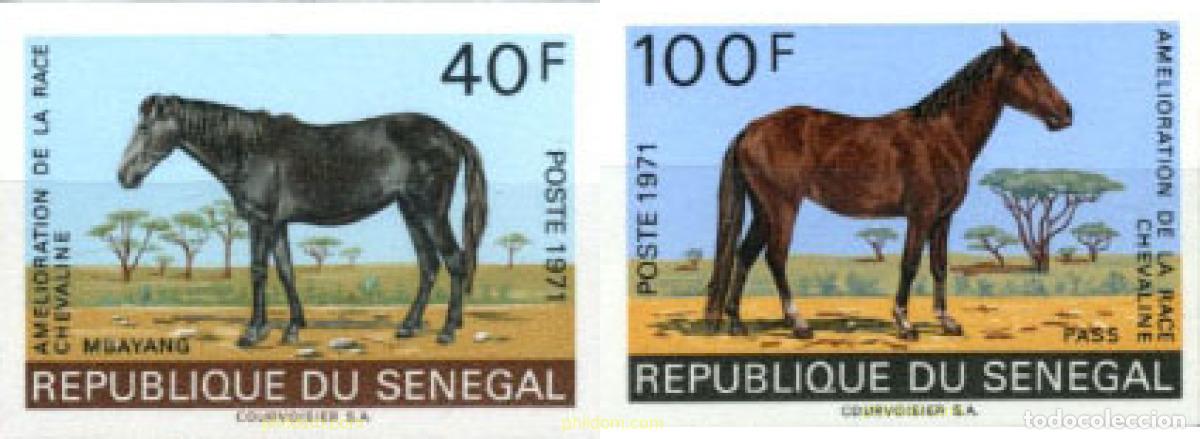 Sellos: 21025 MNH SENEGAL 1971 CABALLOS