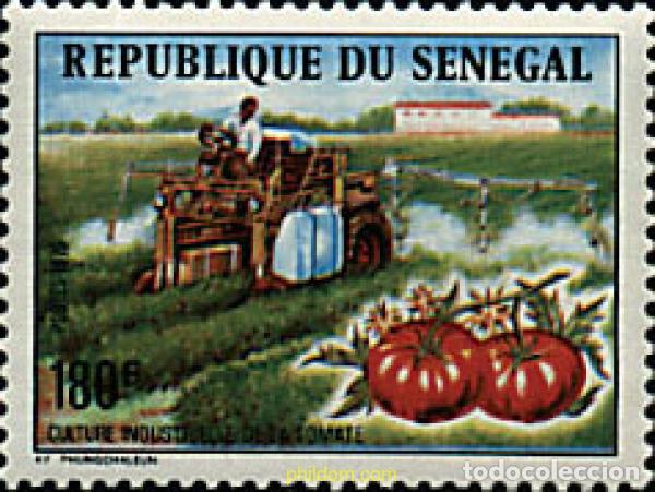 Sellos: 43360 MNH SENEGAL 1976 INDUSTRIA DEL TOMATE