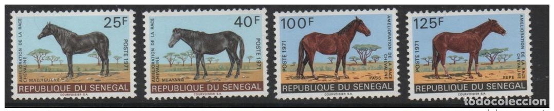 Francobolli: Senegal 1971 Horses Pferde Yv. 343 344 349 350 4 val. UN MES RARO