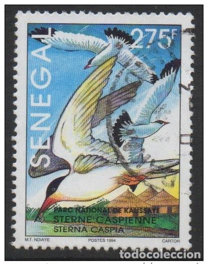 Francobolli: Senegal 1994 Charr&aacute;n Caspio Kalissaye Vogel Bird Yv. 1109 RARO