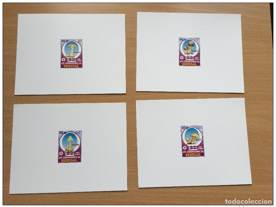 Sellos: Senegal 1999 Hongos a prueba de lujo Mi. 1797 - 1800 RARO MNH