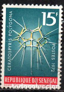 Sellos: SENEGAL IVERT N&ordm; 379 (A&Ntilde;O 1972) Fauna marina: Ceratospyris polygona (UNICELULAR), usado