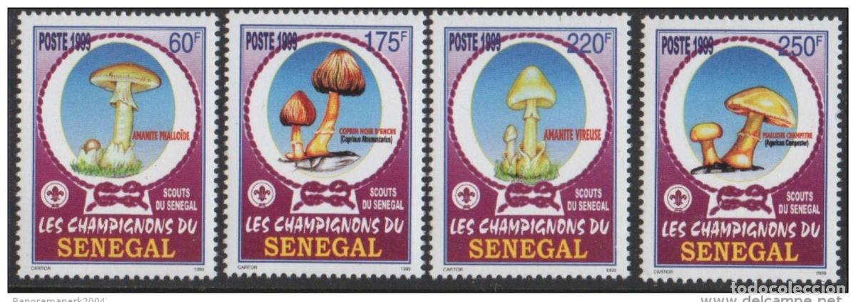 Briefmarken: Senegal 1999 Hongos Pilze Mushrooms Mi. 1797 - 1800 4 val. MAH POCO COM&Uacute;N