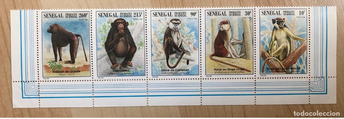 Sellos: Senegal 1996 Mi.1447 - 1451 Fauna Monos Affen Primates RARE MNH