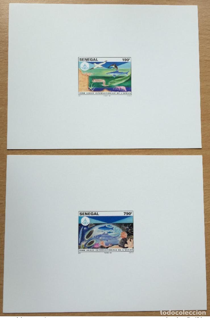 Sellos: Senegal 1998 Evento de lujo A&ntilde;o Internacional del Oc&eacute;ano Mi. 1582 - 1583