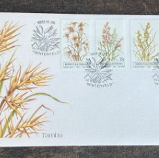 Sellos: P) 1981 SOUTH AFRICA, BOPHUTHATSWANA, INDIGENOUS GRASSES, COMPLETE SERIES, FLORA, FDC XF