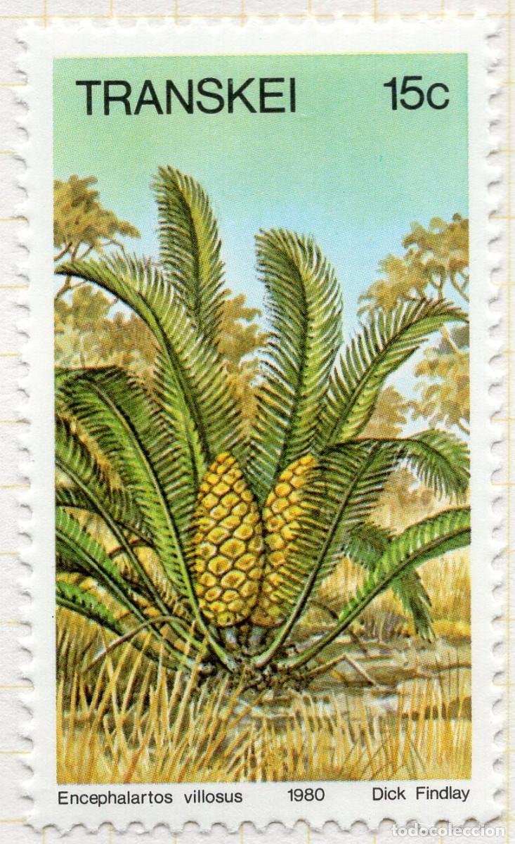 Sellos: TRANSKEY 1980 STAMP MICHEL ZA-TR 73