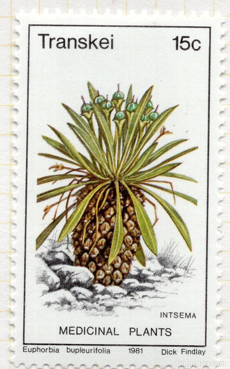Briefmarken: TRANSKEY 1981 STAMP MICHEL ZA-TR 89
