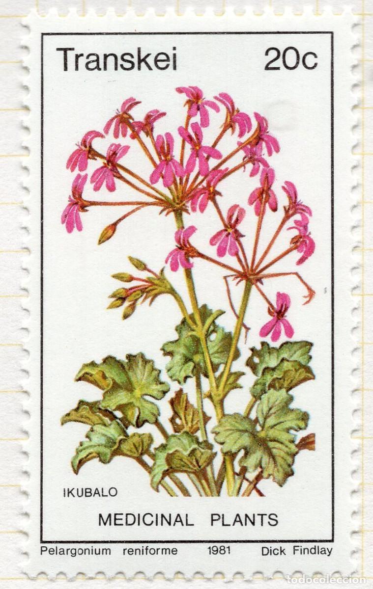 Briefmarken: TRANSKEY 1981 STAMP MICHEL ZA-TR 90