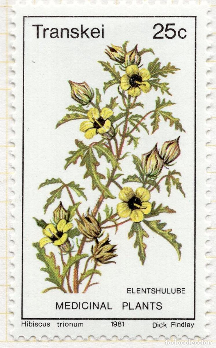 Briefmarken: TRANSKEY 1981 STAMP MICHEL ZA-TR 91