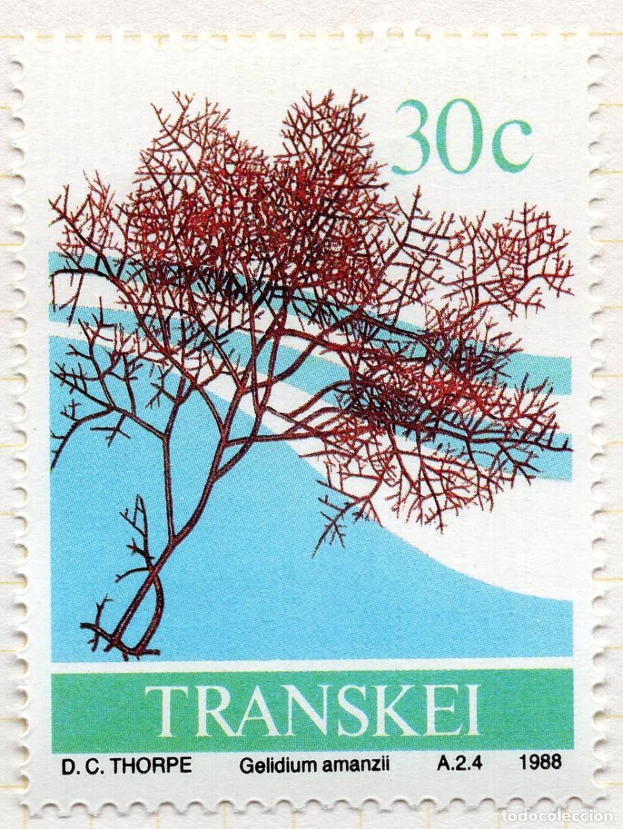 Briefmarken: TRANSKEY 1988 STAMP MICHEL ZA-TR 215
