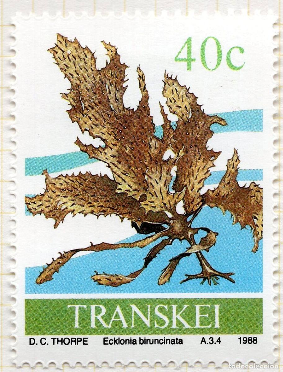 Briefmarken: TRANSKEY 1988 STAMP MICHEL ZA-TR 216