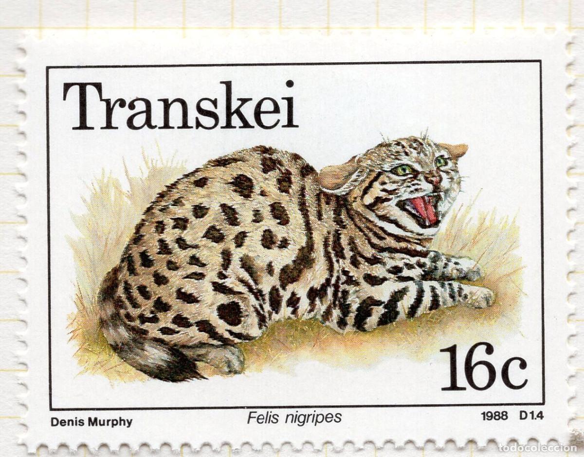 Sellos: TRANSKEY 1988 STAMP MICHEL ZA-TR 226