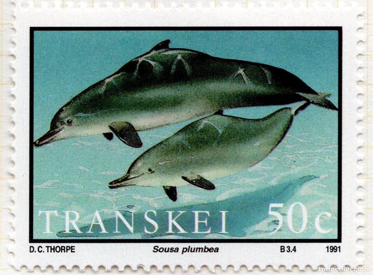 Sellos: TRANSKEY 1991 STAMP MICHEL ZA-TR 269