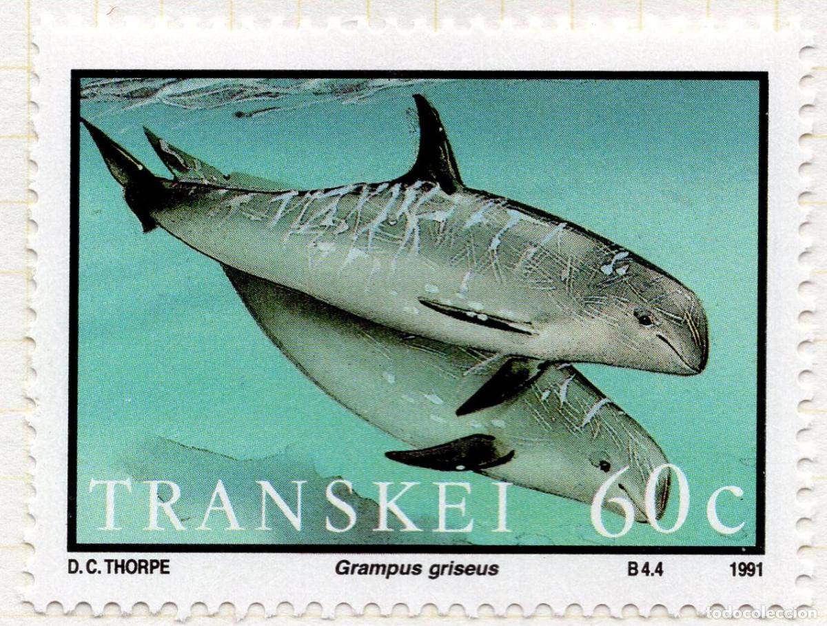 Sellos: TRANSKEY 1991 STAMP MICHEL ZA-TR 270