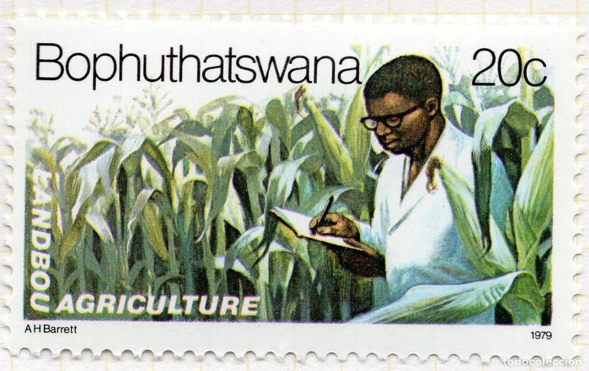 Sellos: BOPHUTHATSWANA 1979 STAMP MICHEL ZA-BP 53