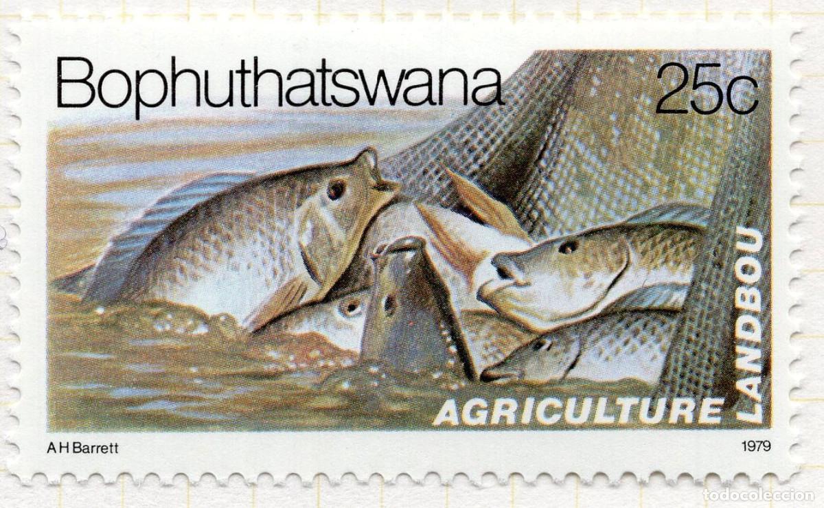 Sellos: BOPHUTHATSWANA 1979 STAMP MICHEL ZA-BP 54