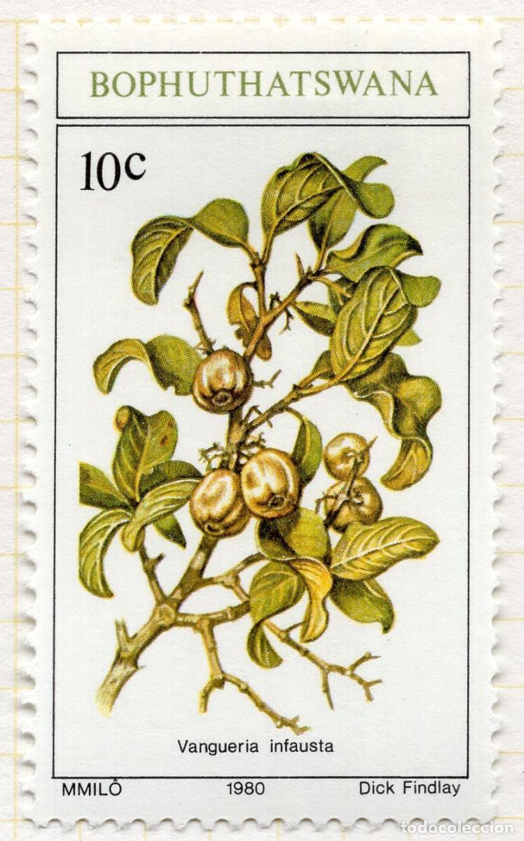 Sellos: BOPHUTHATSWANA 1980 STAMP MICHEL ZA-BP 57