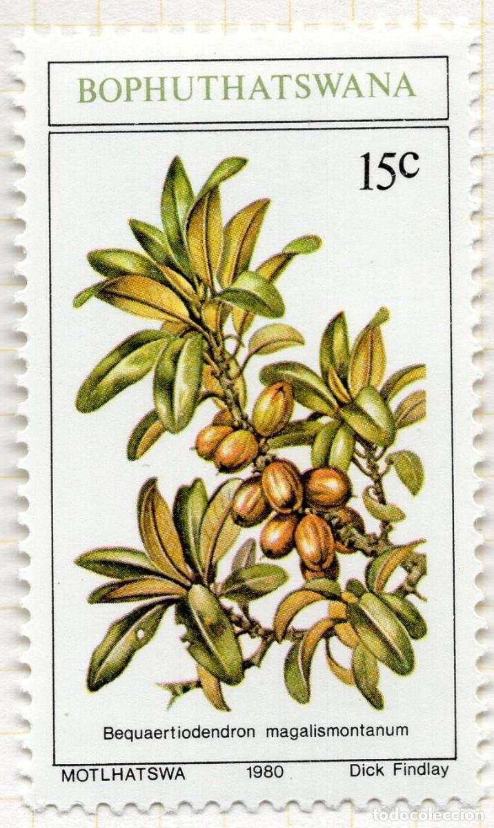 Sellos: BOPHUTHATSWANA 1980 STAMP MICHEL ZA-BP 58