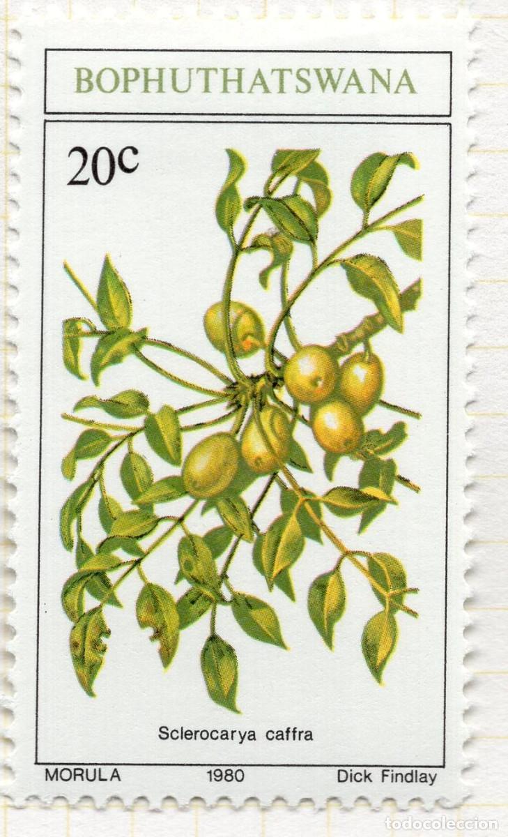 Sellos: BOPHUTHATSWANA 1980 STAMP MICHEL ZA-BP 59