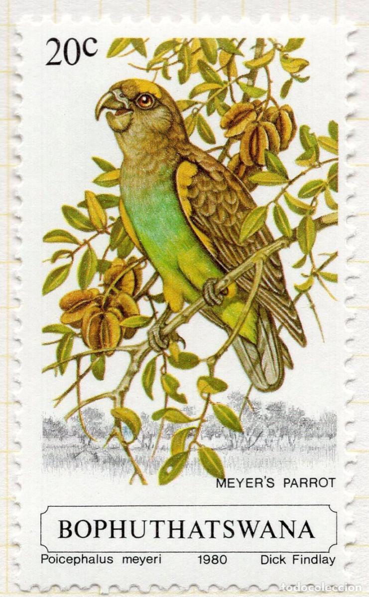 Sellos: BOPHUTHATSWANA 1980 STAMP MICHEL ZA-BP 63