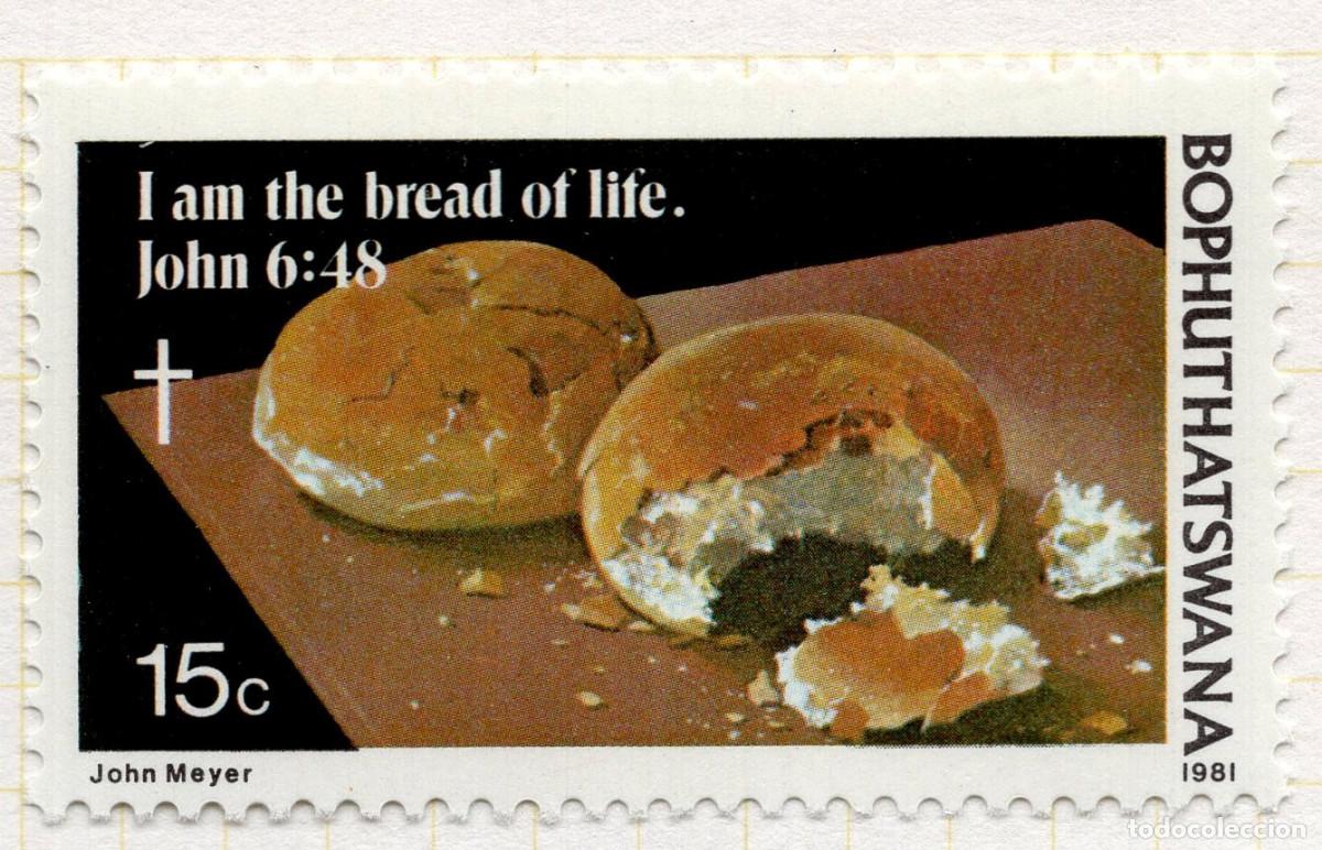 Sellos: BOPHUTHATSWANA 1981 STAMP MICHEL ZA-BP 73