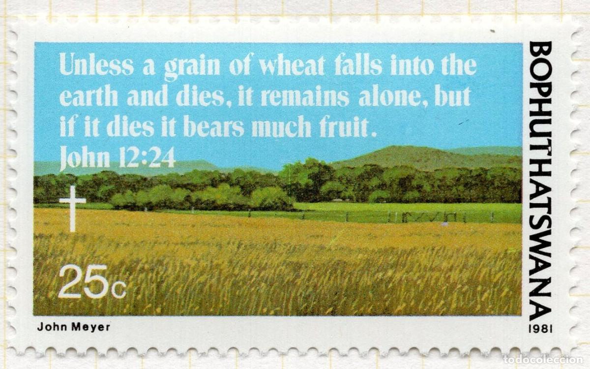 Sellos: BOPHUTHATSWANA 1981 STAMP MICHEL ZA-BP 75