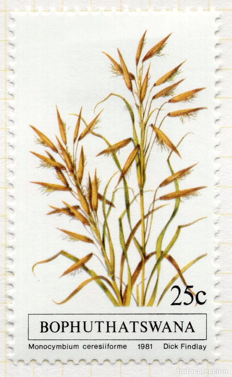 Sellos: BOPHUTHATSWANA 1981 STAMP MICHEL ZA-BP 83