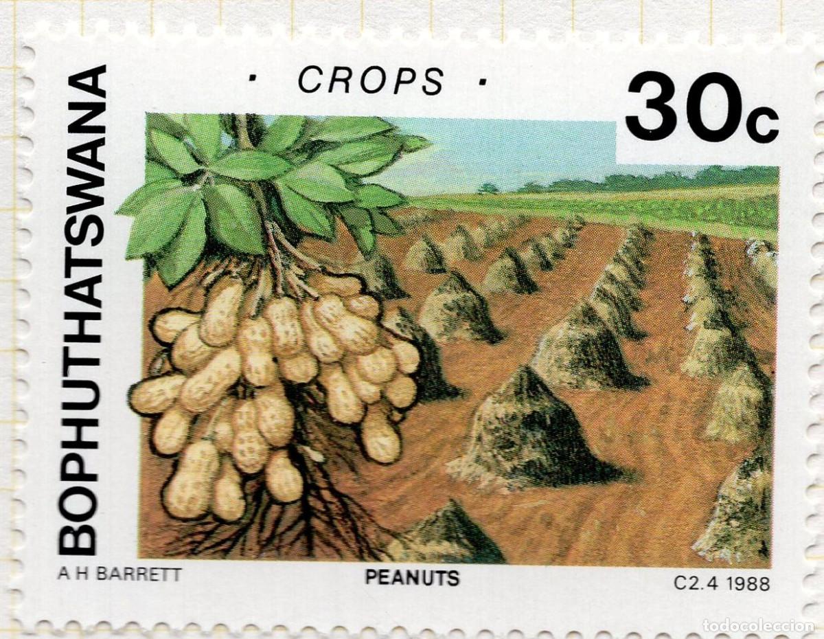 Sellos: BOPHUTHATSWANA 1988 STAMP MICHEL ZA-BP 207