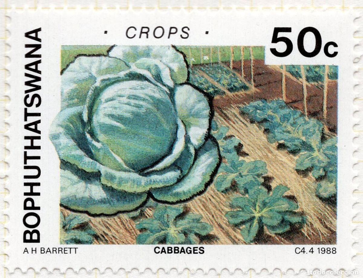 Sellos: BOPHUTHATSWANA 1988 STAMP MICHEL ZA-BP 209