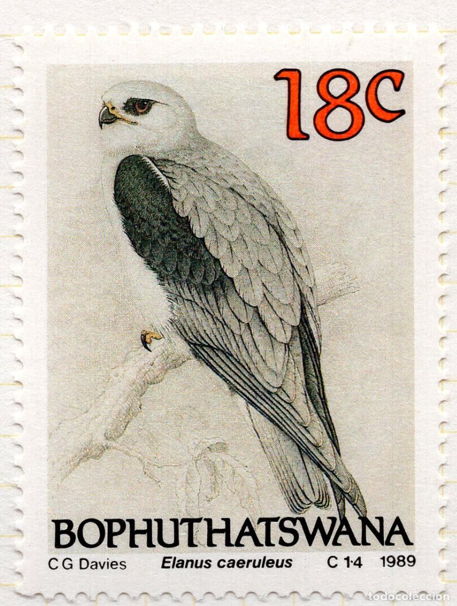 Sellos: BOPHUTHATSWANA 1989 STAMP MICHEL ZA-BP 223