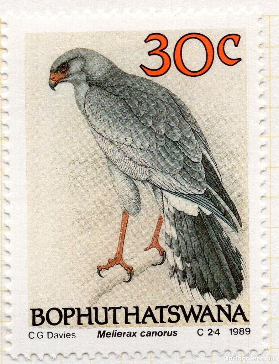 Sellos: BOPHUTHATSWANA 1989 STAMP MICHEL ZA-BP 224