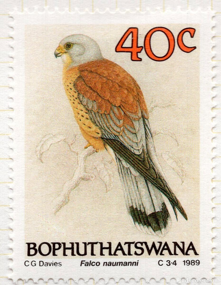 Sellos: BOPHUTHATSWANA 1989 STAMP MICHEL ZA-BP 225