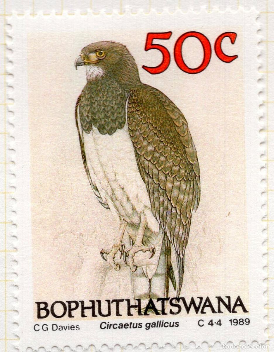 Sellos: BOPHUTHATSWANA 1989 STAMP MICHEL ZA-BP 226