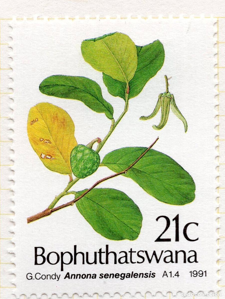 Sellos: BOPHUTHATSWANA 1991 STAMP MICHEL ZA-BP 257