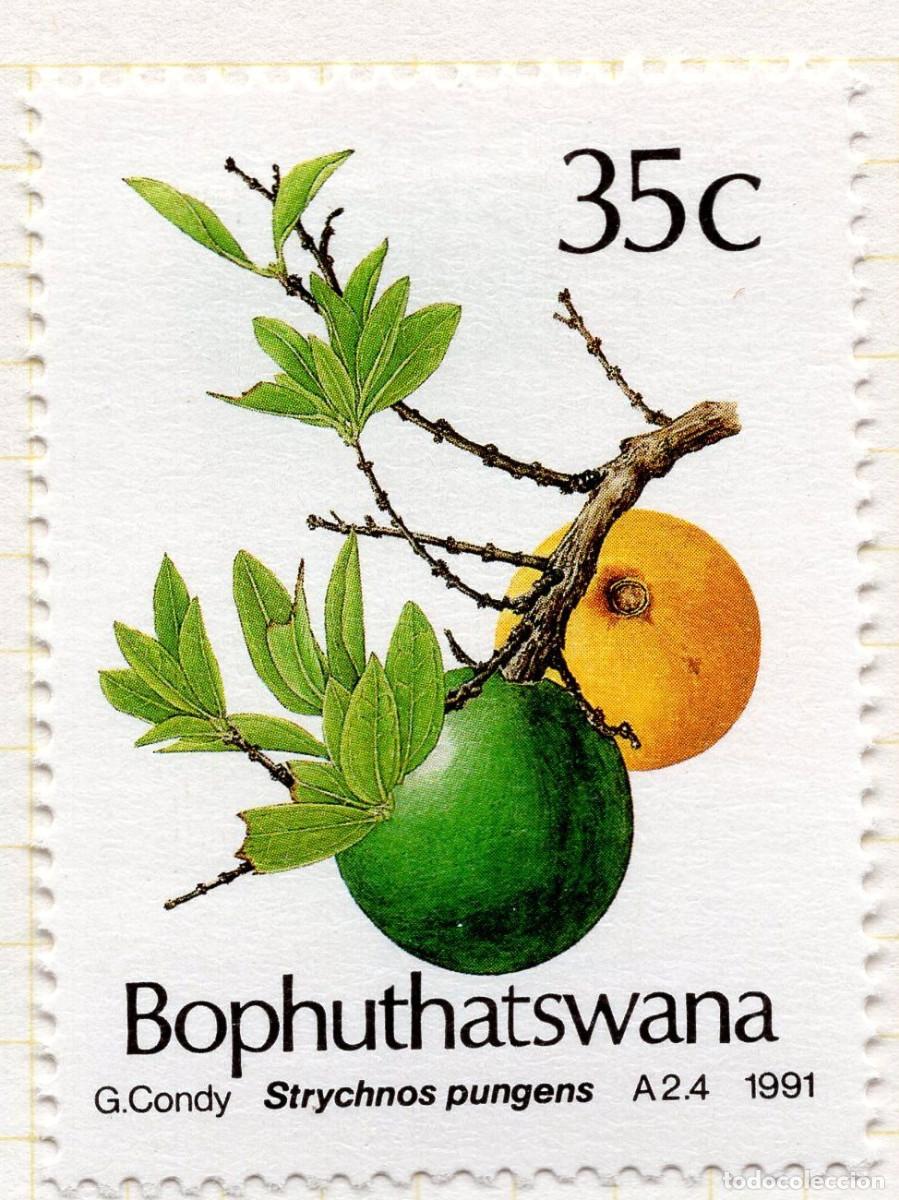 Sellos: BOPHUTHATSWANA 1991 STAMP MICHEL ZA-BP 258