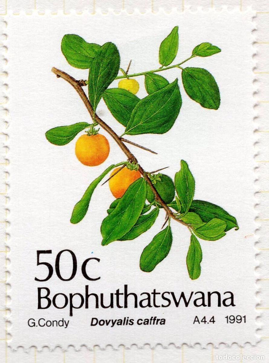 Sellos: BOPHUTHATSWANA 1991 STAMP MICHEL ZA-BP 260