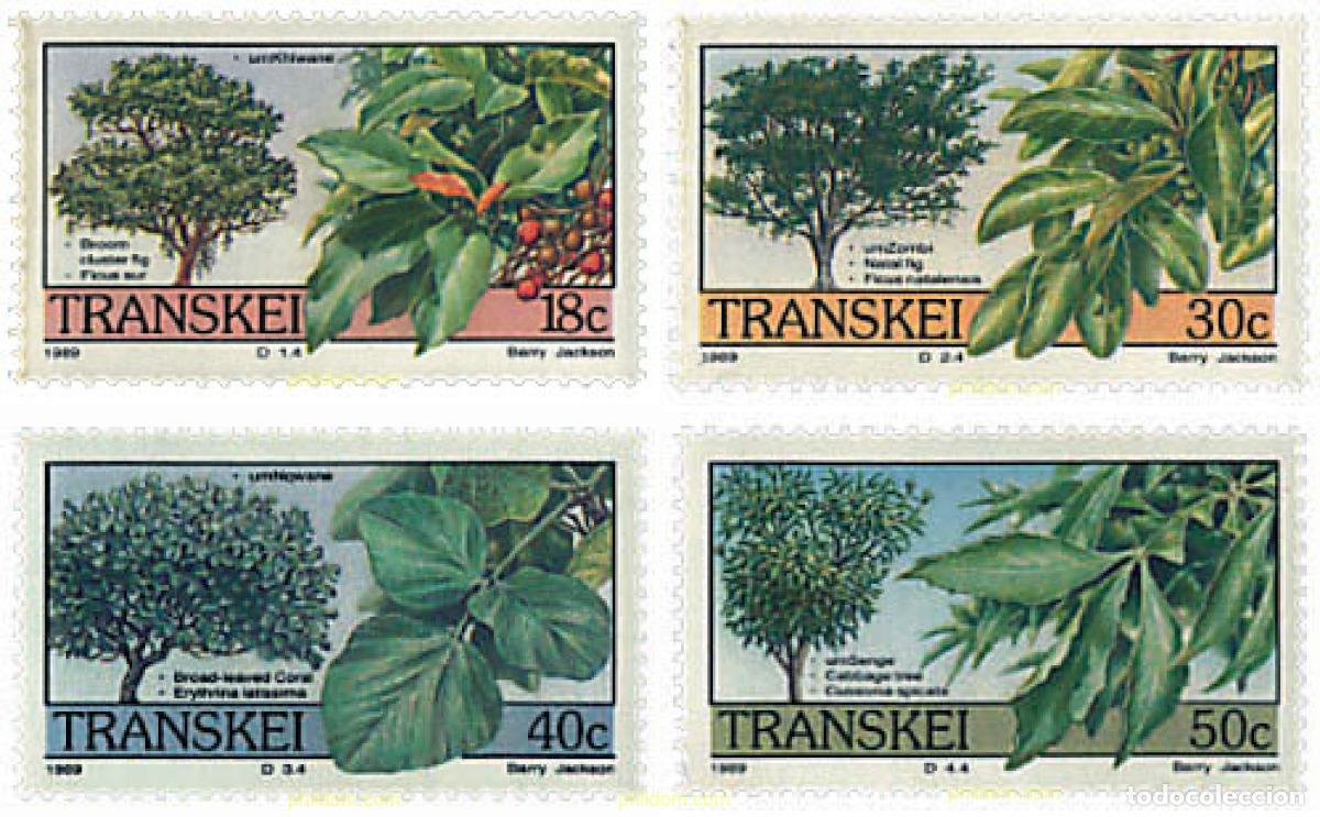 Sellos: 89607 MNH TRANSKEI 1989 FLORA