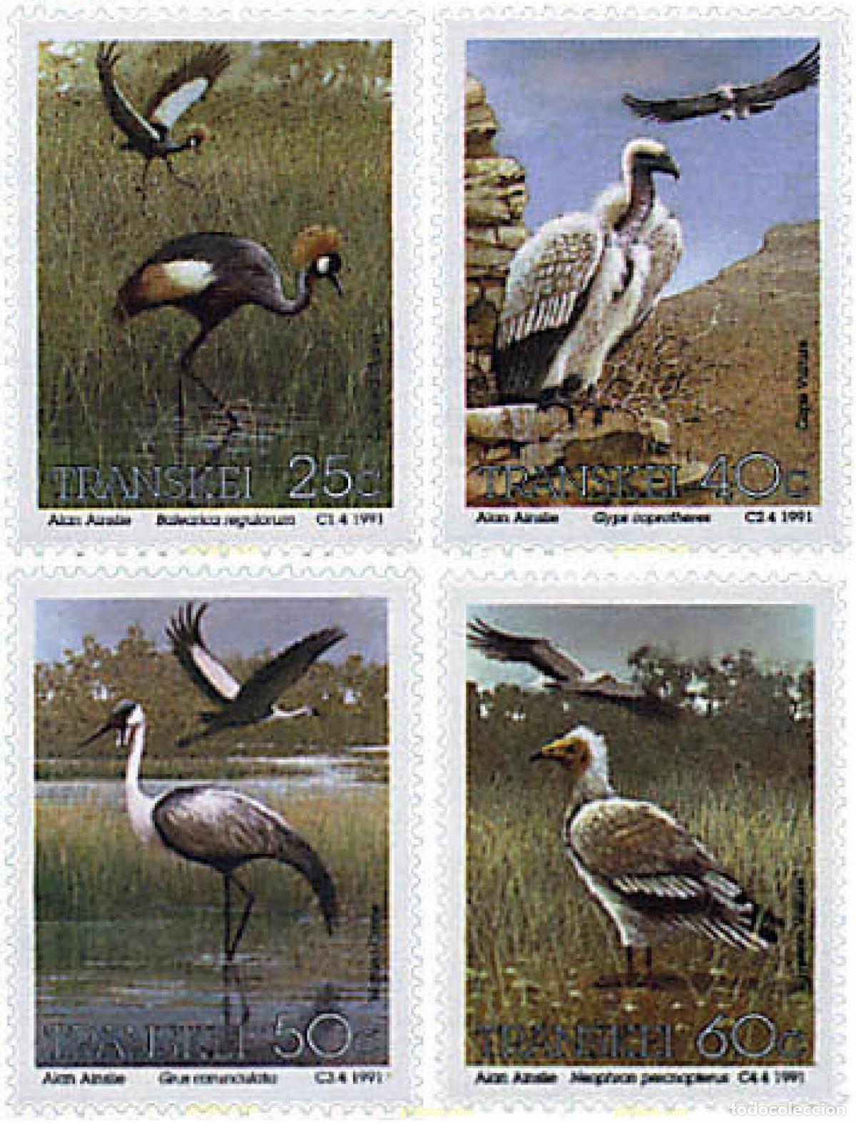 Sellos: 90272 MNH TRANSKEI 1991 AVES PROTEGIDAS