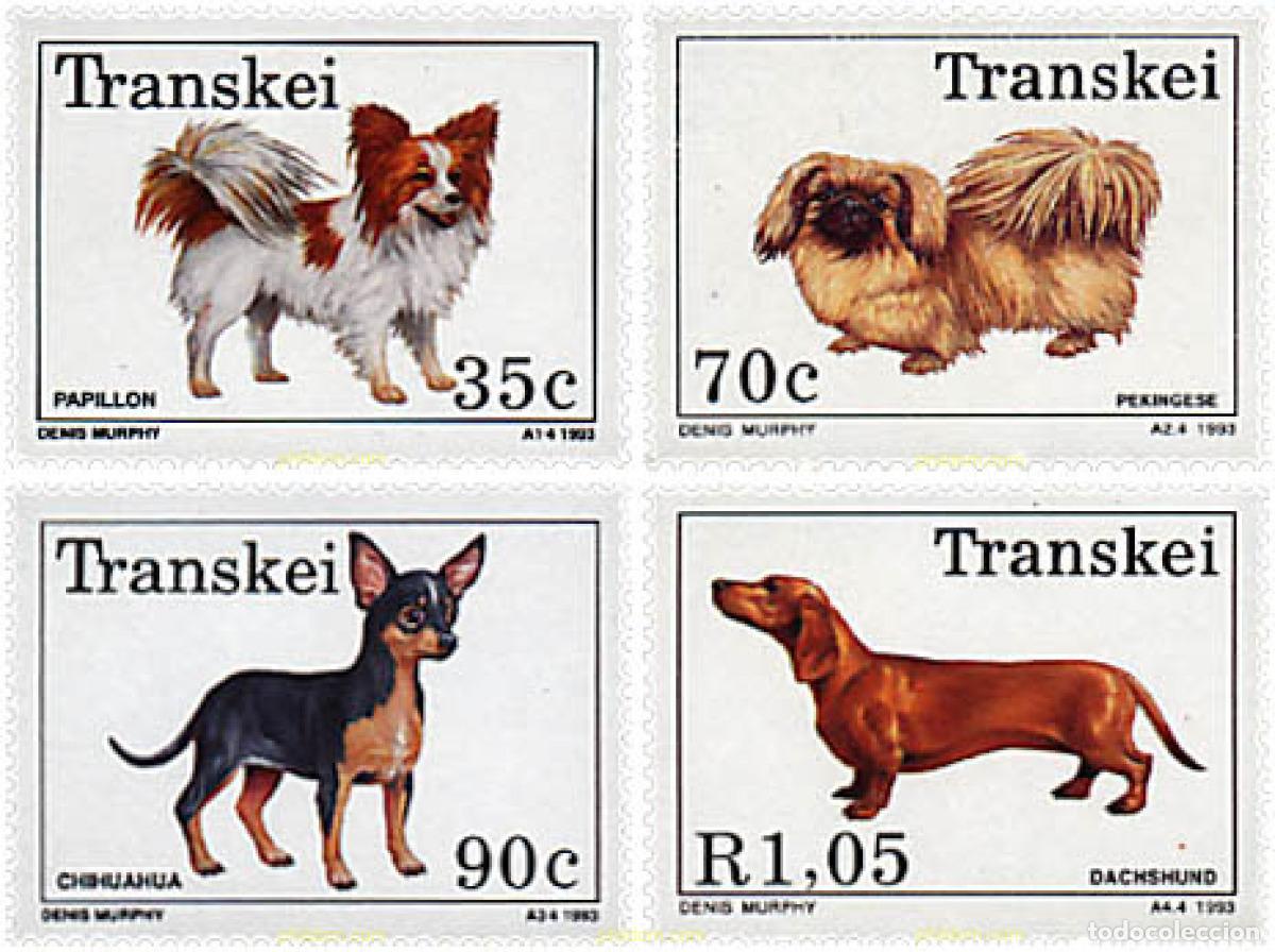 Sellos: 47641 MNH TRANSKEI 1993 PERROS DE RAZA